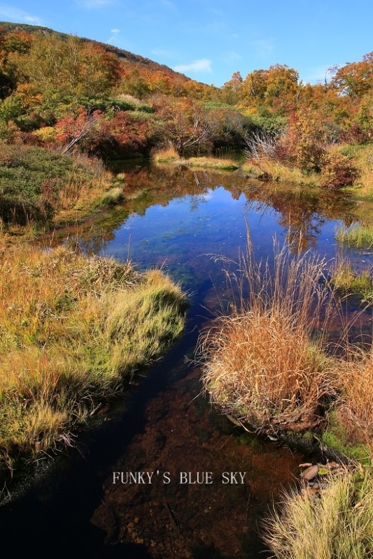 c0145250_09162797.jpg