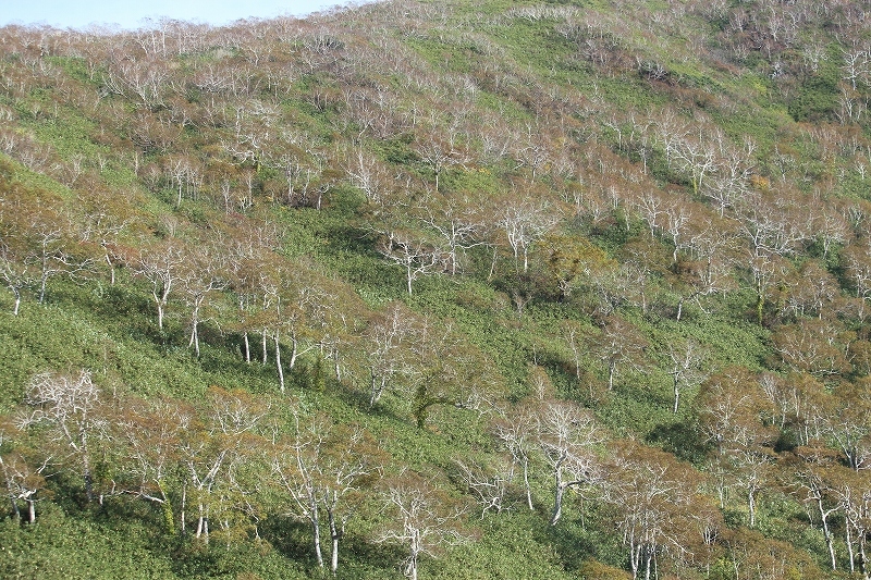 b0250154_20420558.jpg