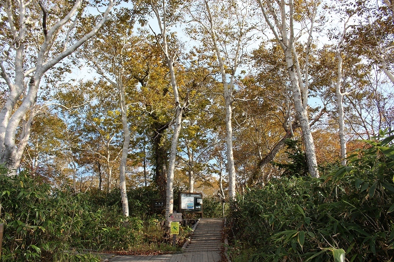 b0250154_20424853.jpg