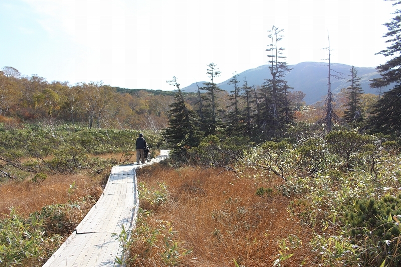 b0250154_20471263.jpg