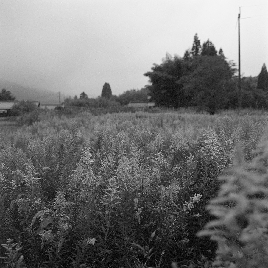e0264158_16170089.jpg