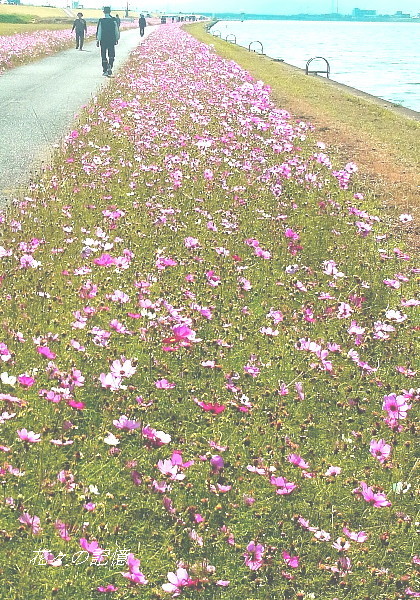c0357781_12095429.jpg