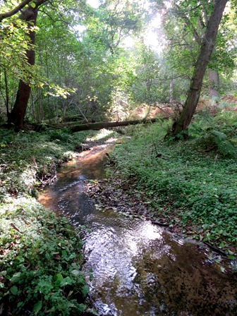 a0208783_2101045.jpg