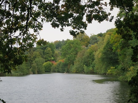 a0208783_2124696.jpg