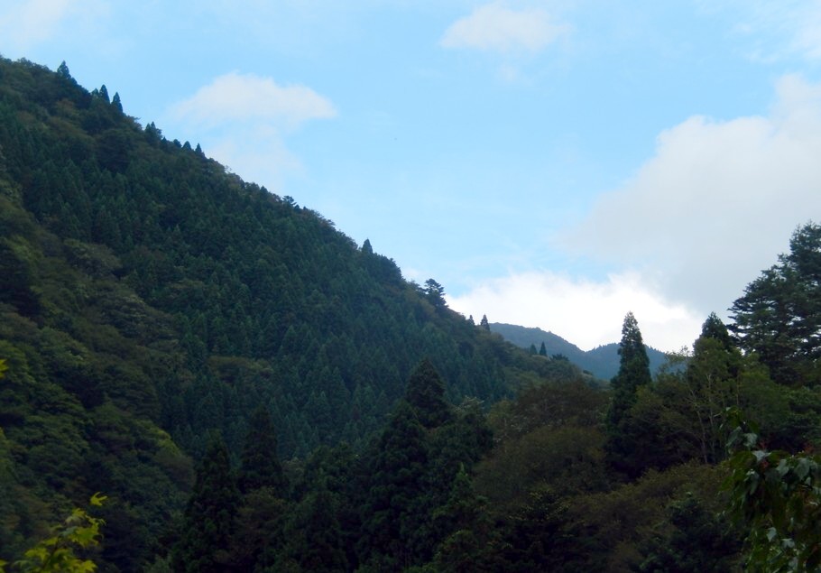 c0144185_102966.jpg