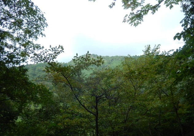 c0144185_9163439.jpg