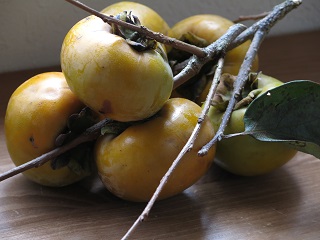 e0130185_11371128.jpg