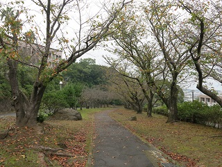 e0130185_18593855.jpg
