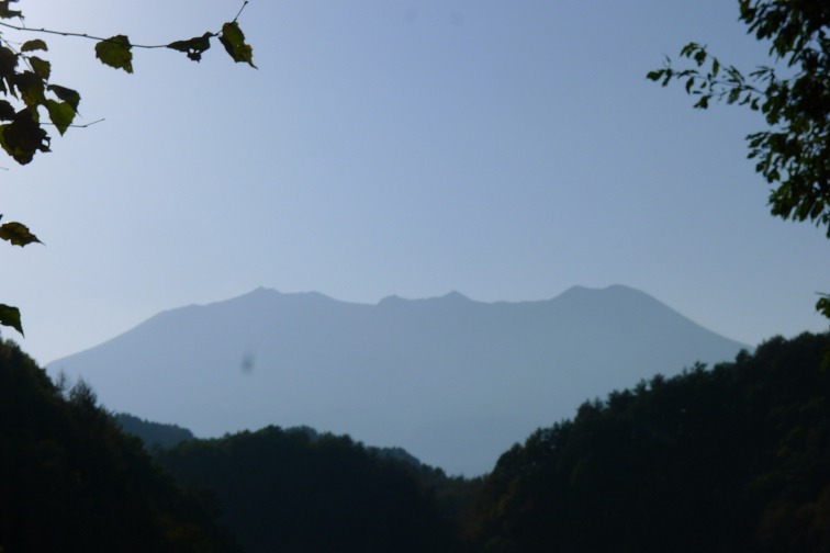 a0130586_17234362.jpg