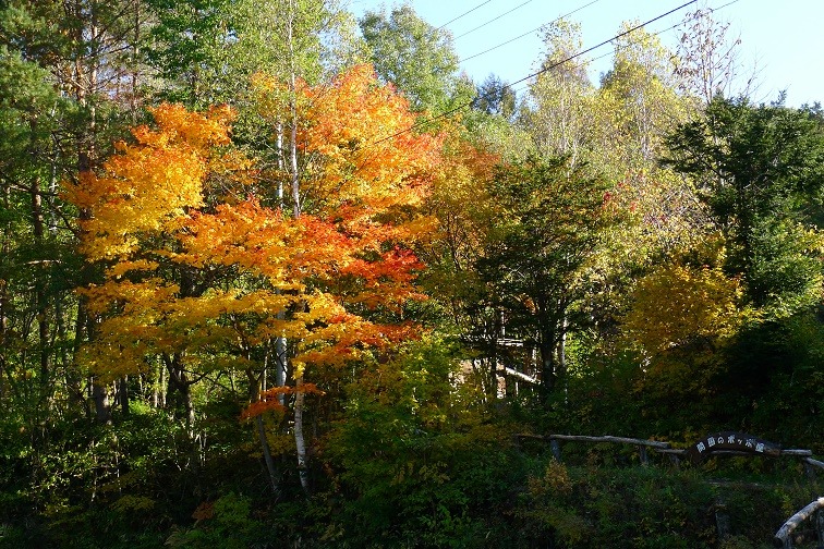 a0130586_17261844.jpg