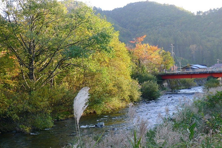 a0130586_1734182.jpg