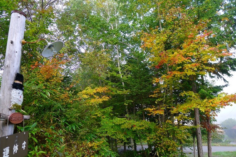 a0130586_9465256.jpg