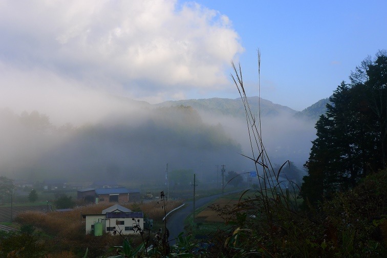 a0130586_949689.jpg