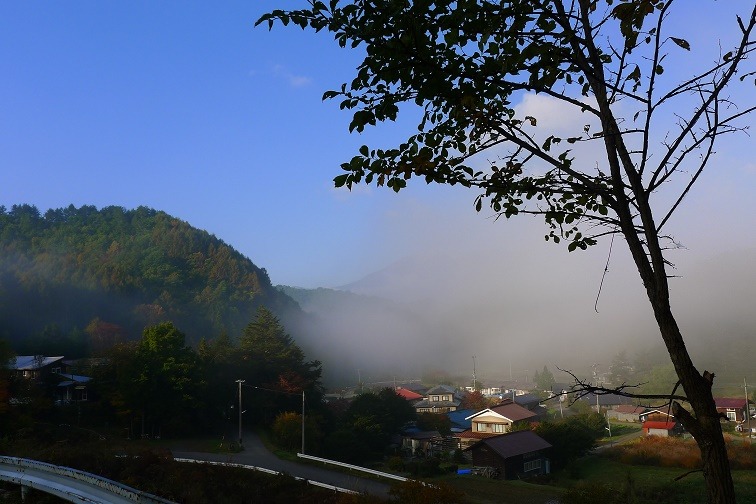 a0130586_953362.jpg