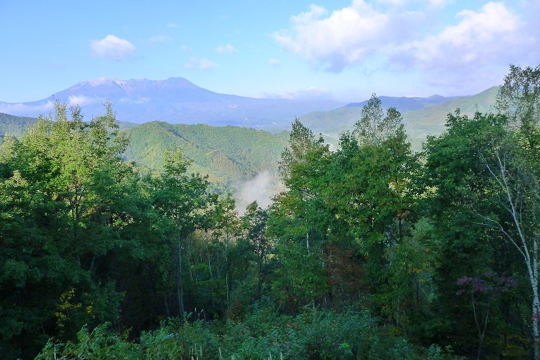 a0130586_9594248.jpg