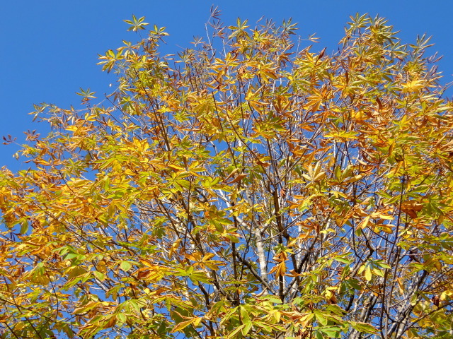 f0100593_20430108.jpg