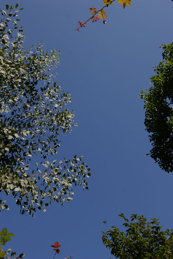 a0157595_14451647.jpg