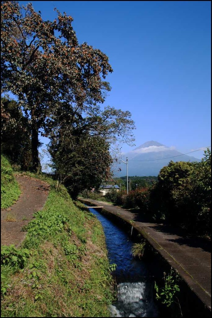 a0188405_07344045.jpg