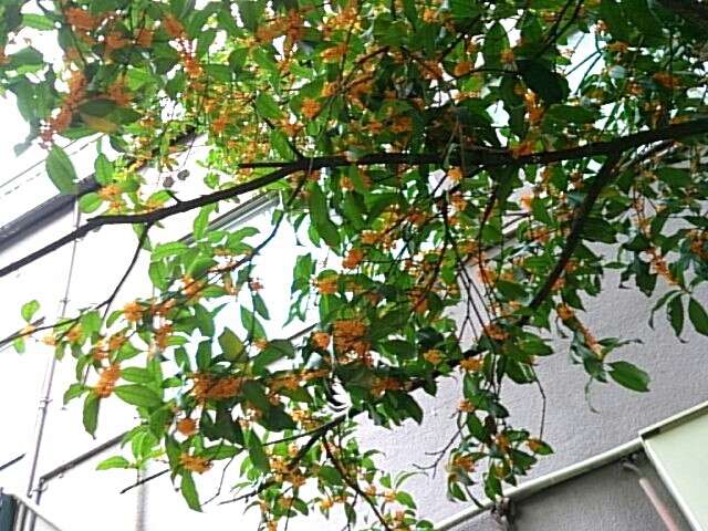 a0216805_07442159.jpg