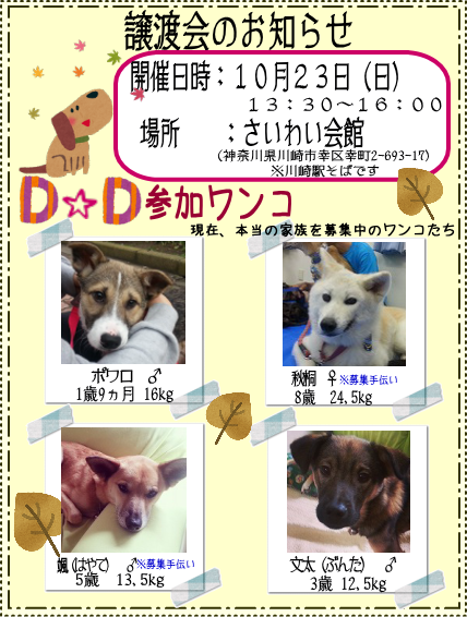 d0317612_105472.png