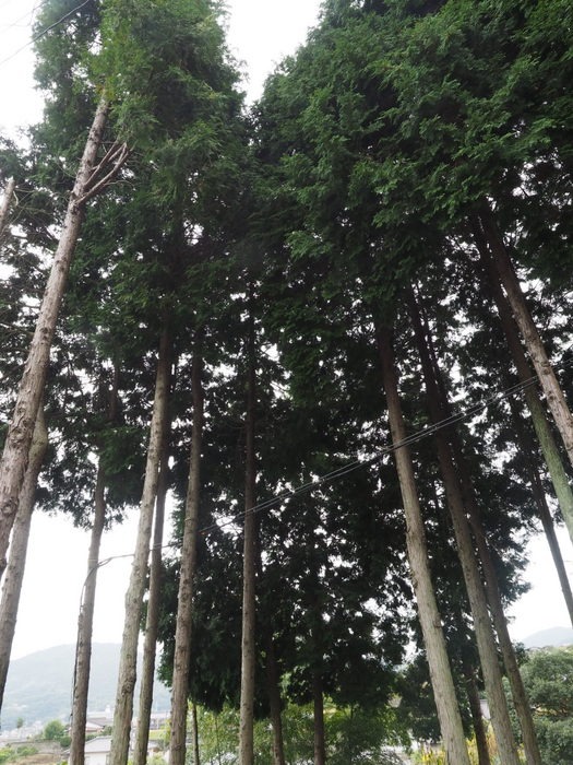 c0116915_22324897.jpg