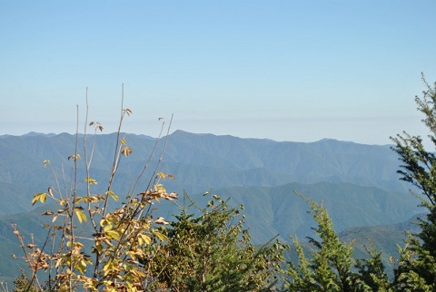 f0000521_3581537.jpg