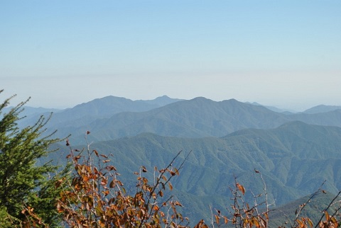 f0000521_3593424.jpg