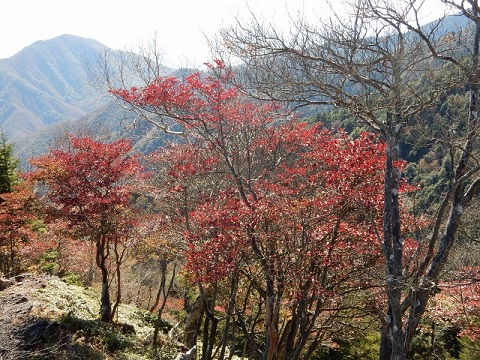 f0000521_402763.jpg