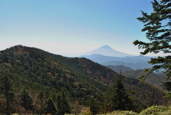 f0000521_43251.jpg