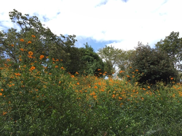 e0156222_06081132.jpg