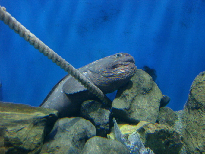 d0250123_18411790.jpg
