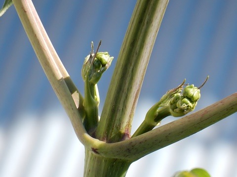 e0033229_13573336.jpg