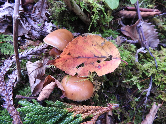 f0118332_13264423.jpg