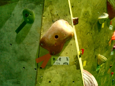 d0107938_1164912.jpg