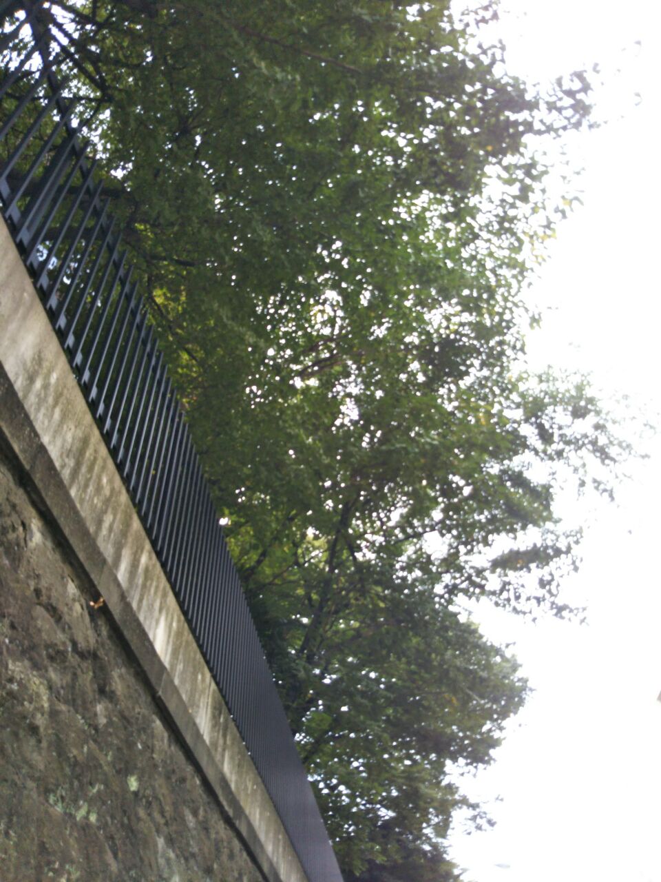 b0031140_19231162.jpg