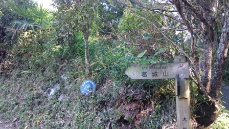 b0148050_17385539.jpg