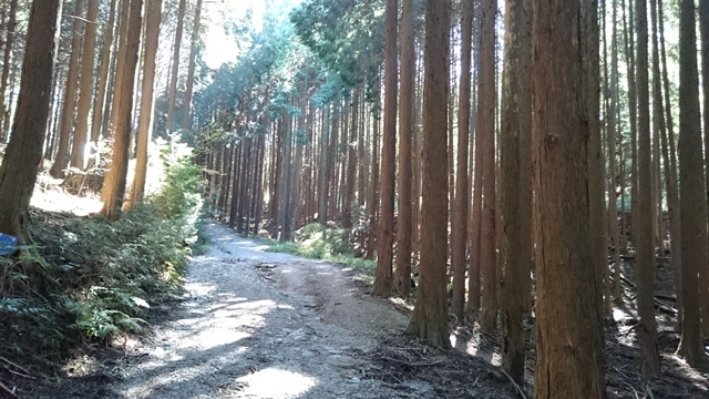 b0148050_1739414.jpg