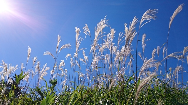 b0148050_174026100.jpg