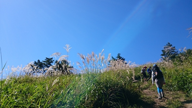 b0148050_1740351.jpg