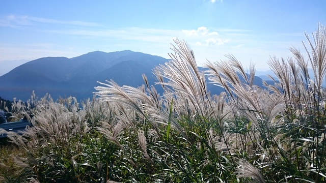 b0148050_1743385.jpg
