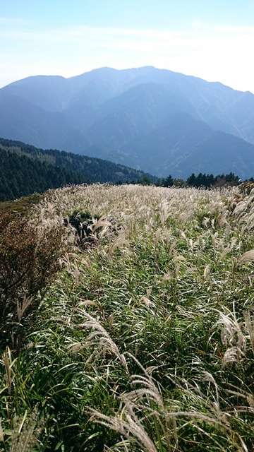 b0148050_174419.jpg