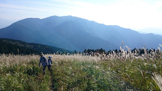 b0148050_17452776.jpg