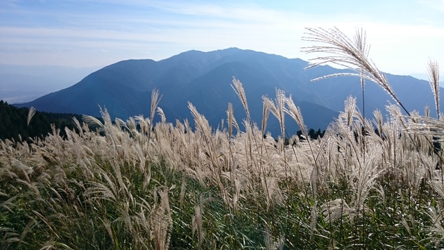 b0148050_17453114.jpg
