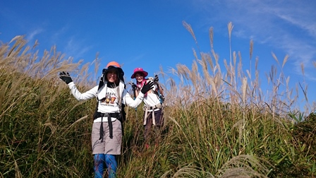 b0148050_1745537.jpg