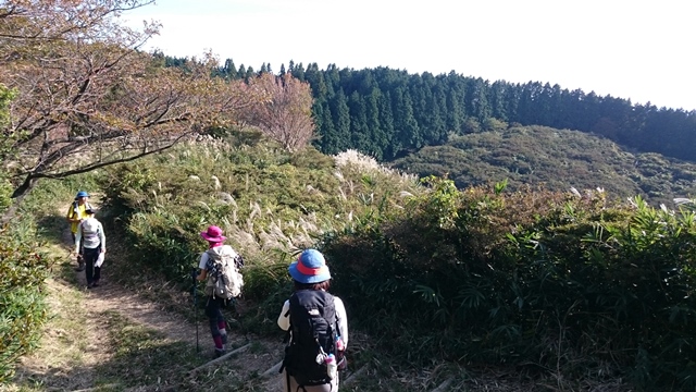 b0148050_17461677.jpg