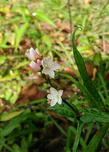 a0018655_14085717.jpg