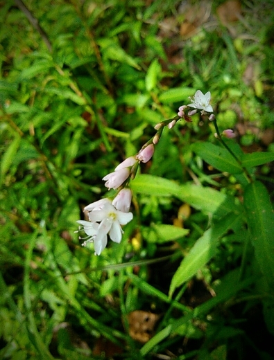 a0018655_14090346.jpg