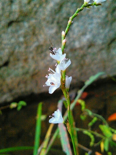 a0018655_14091554.jpg