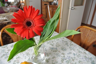 e0041168_11204167.jpg