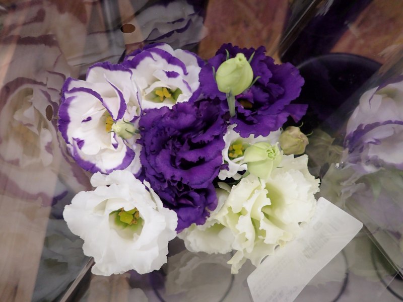 c0183777_1532593.jpg